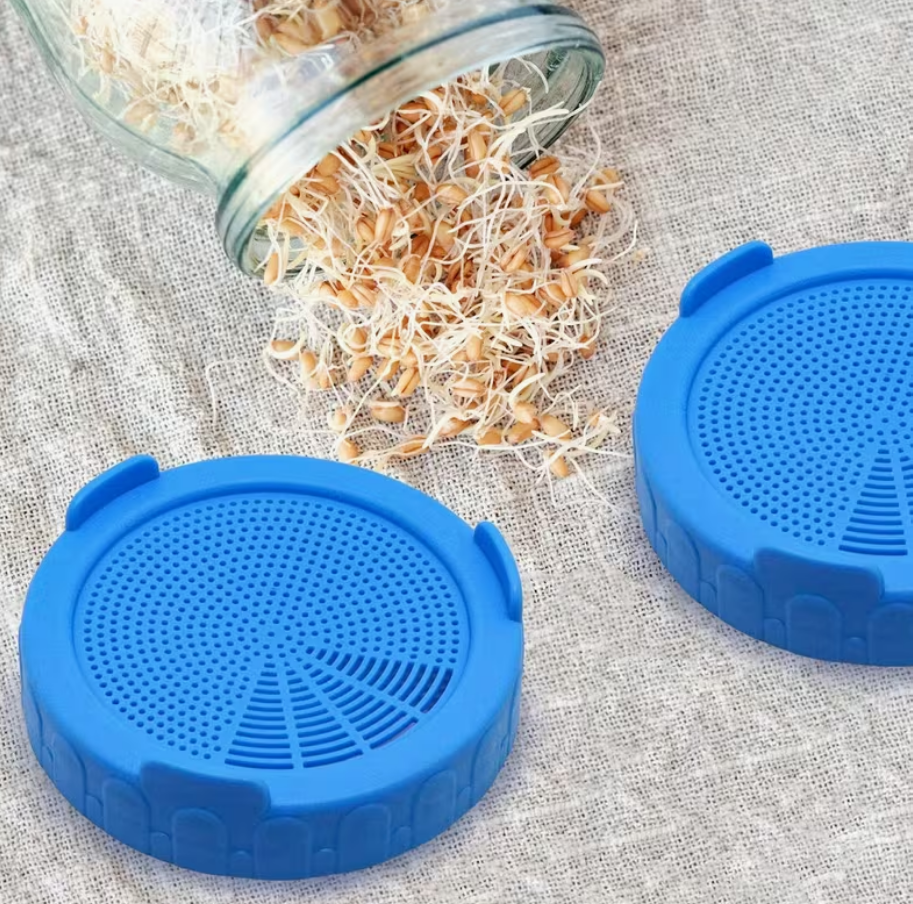 Sprouting jar lid